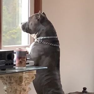 Meet your Posher, John